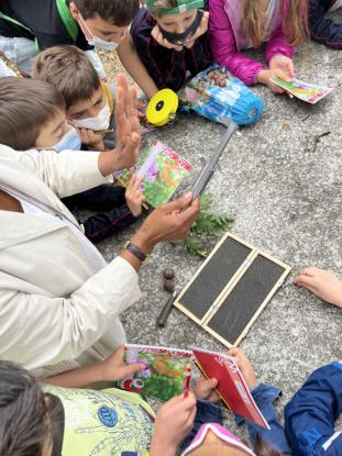  3 Primaria visita el "Aula da Natureza" en Oira - Foto 24