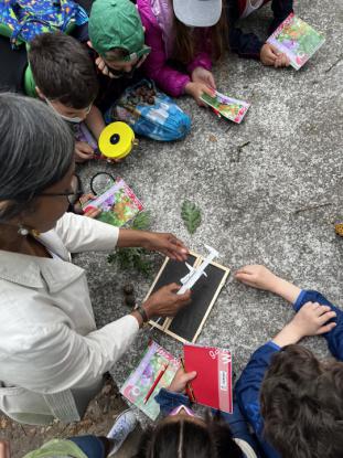  3 Primaria visita el "Aula da Natureza" en Oira - Foto 25