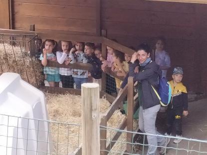 EXCURSIN DE 5 DE INFANTIL - Foto 10