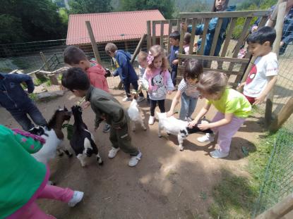 EXCURSIN DE 5 DE INFANTIL - Foto 9