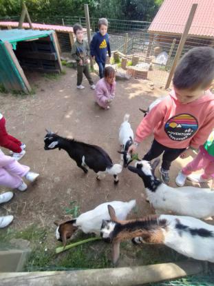EXCURSIN DE 5 DE INFANTIL - Foto 16