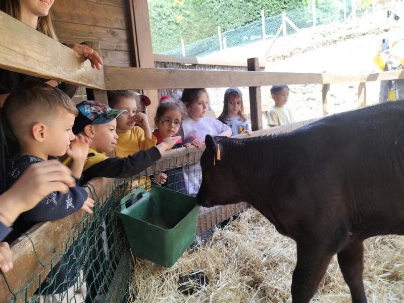 EXCURSIN DE 5 DE INFANTIL