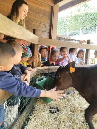 EXCURSIN DE 5 DE INFANTIL - Foto 13