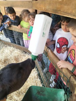 EXCURSIN DE 5 DE INFANTIL - Foto 15