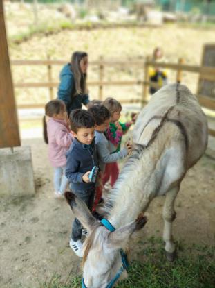 EXCURSIN DE 5 DE INFANTIL - Foto 18