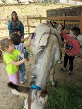 EXCURSIN DE 5 DE INFANTIL - Foto 17